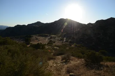 DSC_5549 (Large).JPG